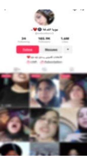 32652623
